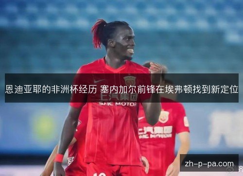 恩迪亚耶的非洲杯经历 塞内加尔前锋在埃弗顿找到新定位 恩迪亚耶的非洲杯经历 塞内加尔前锋在埃弗顿找到新定位